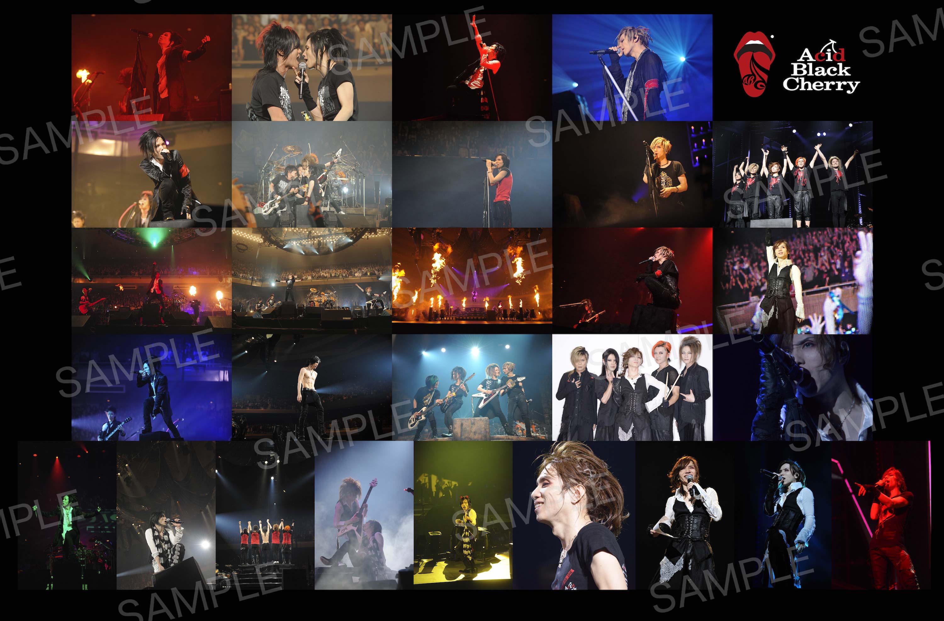 Acid Black Cherry Live Blu-ray / DVD 4作品発売記念 シリアル応募