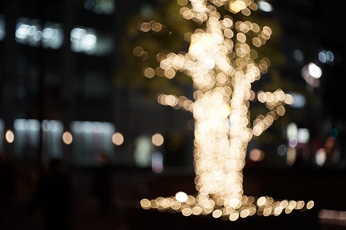 バブルボケも撮影可能! | メーヤー ドミプラン 50mm F2.8 Meyer