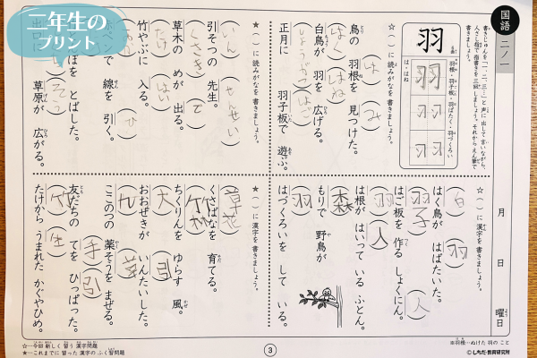 七田式継続3年目！小学生プリント思考力国語2年生をブログで口コミ -