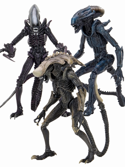 パッケージダメージあり】【2次入荷分】エイリアン vs プレデター/ 7