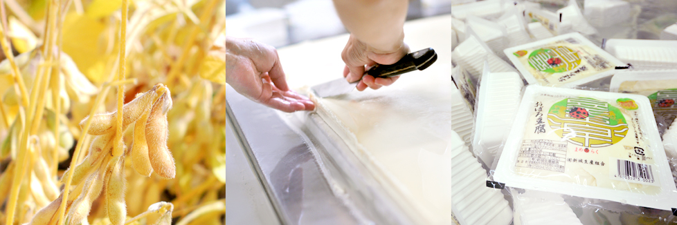 食」への想い｜豆道楽（農業法人）｜愛媛県西予市宇和｜豆腐｜無添加｜大豆
