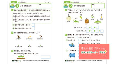 小3理科総まとめプリント｜無料ダウンロード | まめつぶワーク