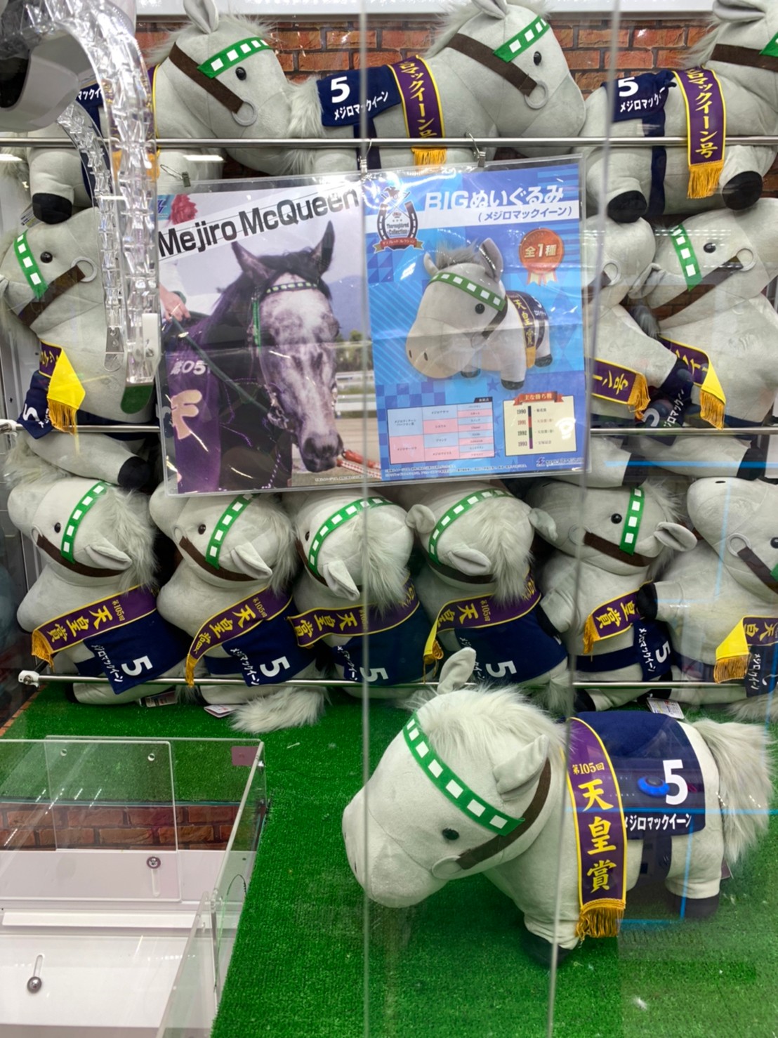 アミューズ】☆入荷情報です！〈メジロマックイーン・サメ