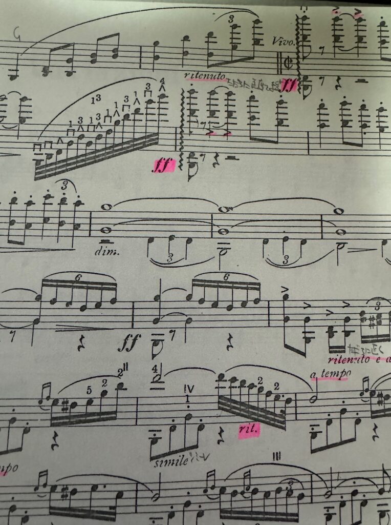 マンドリンレッスンの記録（2026年第1回） | マンドリン独奏する技術士