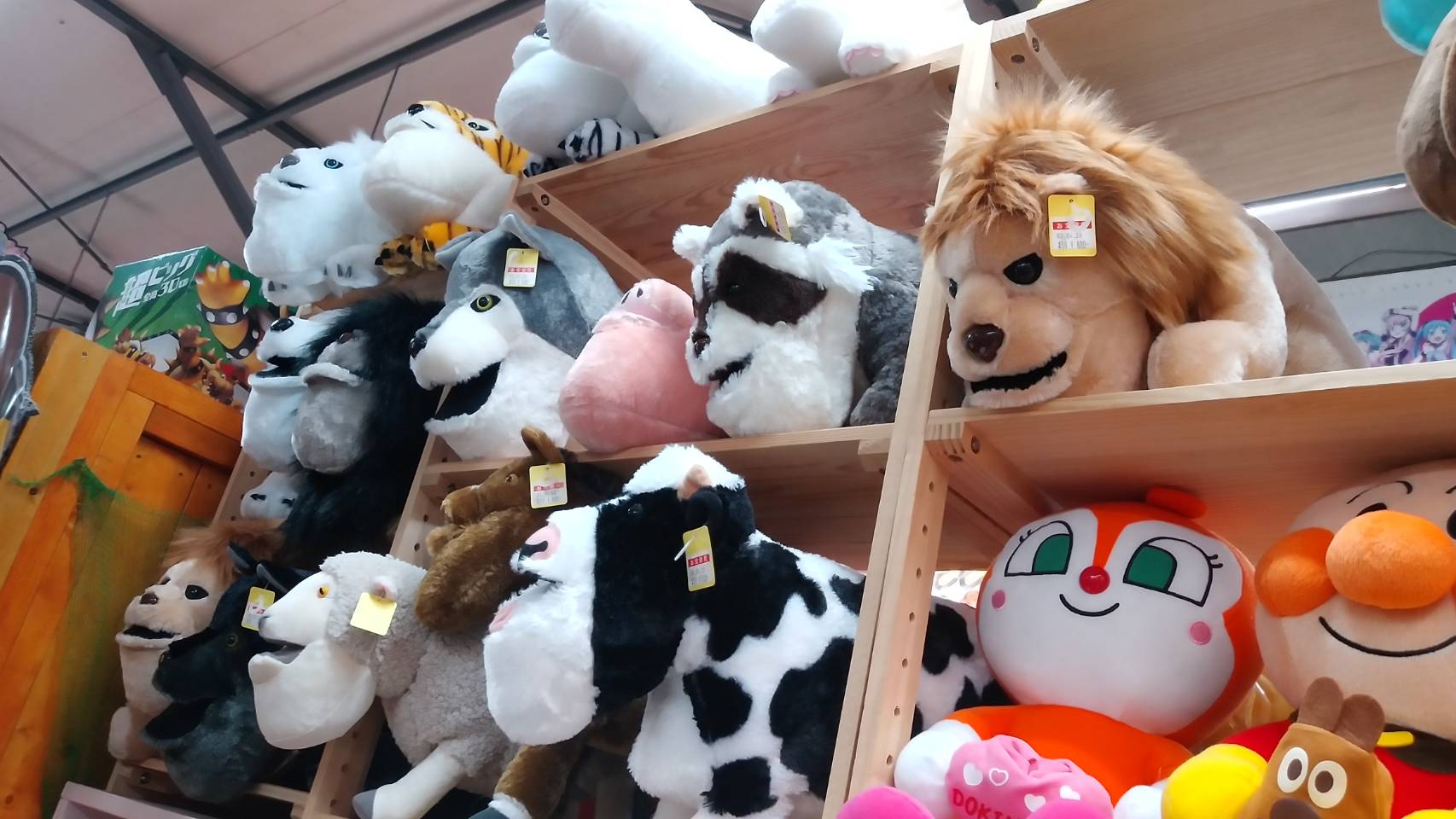 4/27☆おもちゃコーナーより入荷情報です！ #シャクレルプラネット