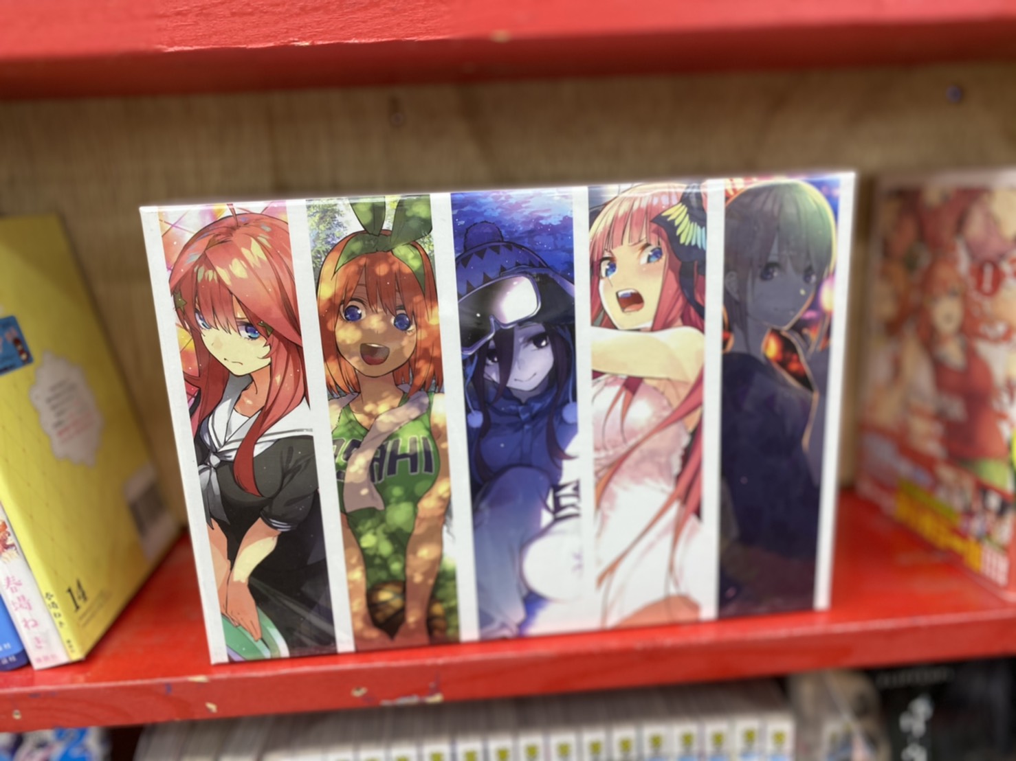 12/8 【全巻収納BOX(5人ver.)付き 五等分の花嫁】販売中です！ | 大分