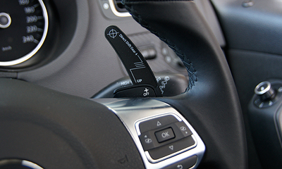 maniacs DSG Paddle Extension （Mat Black） maniacs DSG Paddle