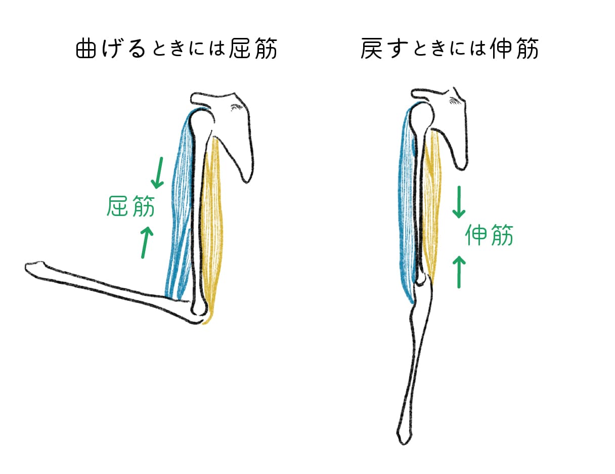 脳性麻痺治療 | OSSCS手術後のフォロー | 一般財団法人ひふみ会 まちだ