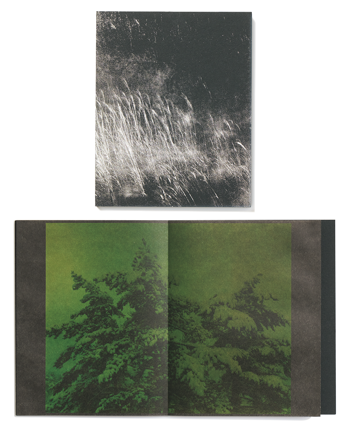 パリ、ソウル、東京。3都市の書店が厳選した、いま読みたいアート