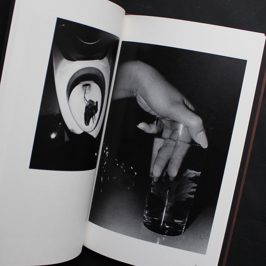 Sunflower（Signed） - 森山 大道 / Daido Moriyama