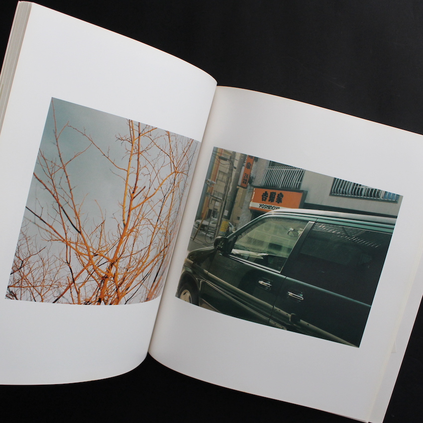 生きている（First Edition） - 佐内 正史 / Masafumi Sanai