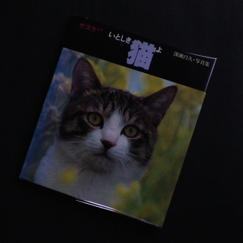 サスケ！！ いとしき猫よ（First Printing） - 深瀬 昌久 / Masahisa