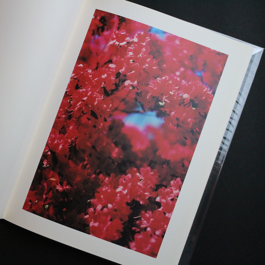 Hunter Green - Terri Weifenbach