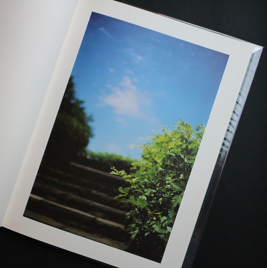 Hunter Green - Terri Weifenbach