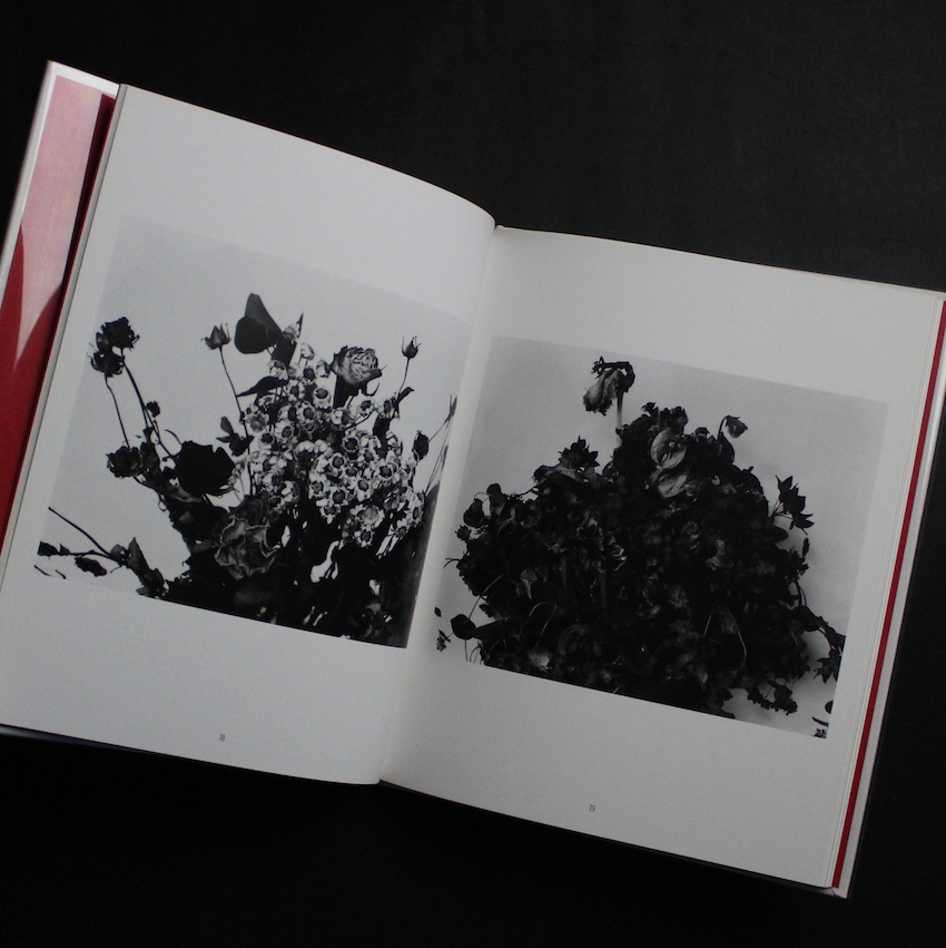 花陰 - 荒木 経惟 / Nobuyoshi Araki