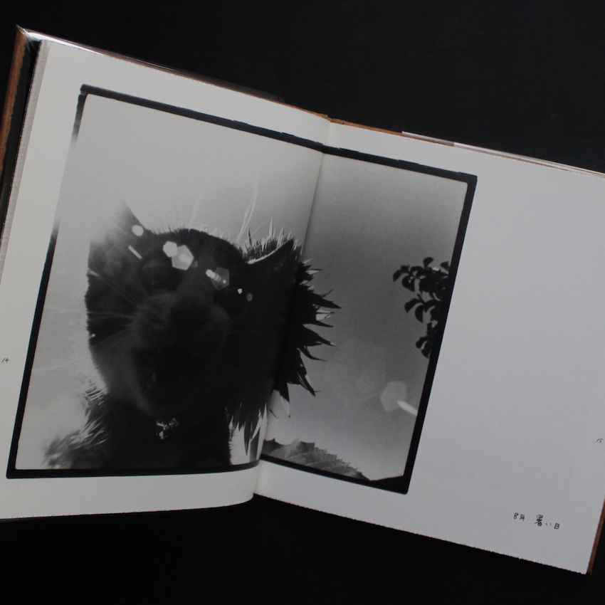 Afterword（Second Edition） - 深瀬 昌久 / Masahisa Fukase