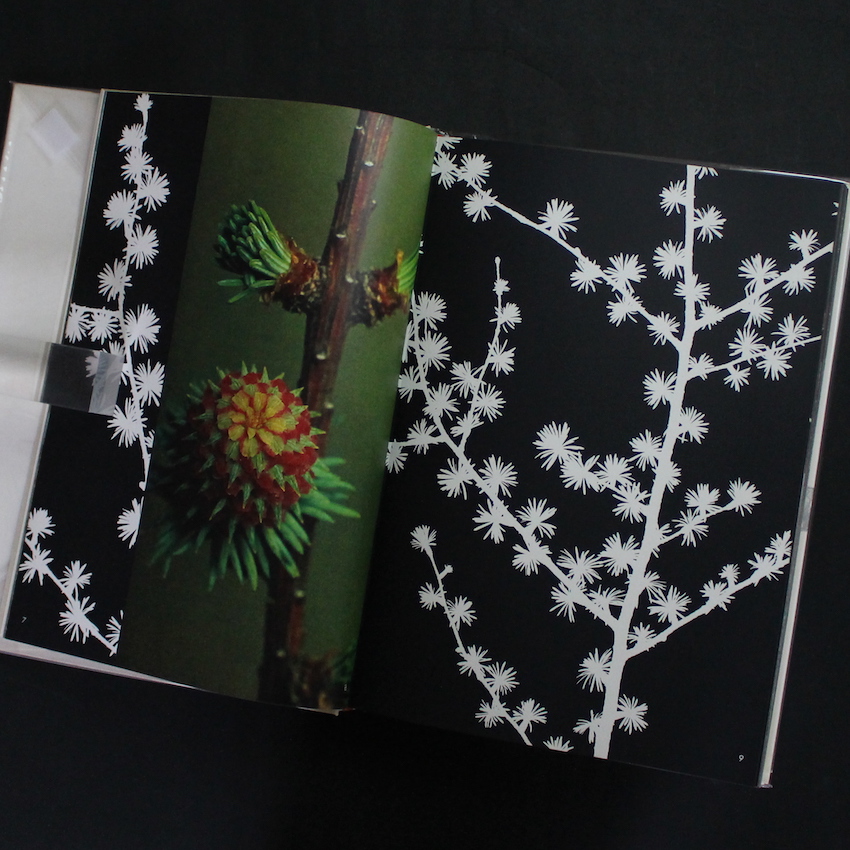 山の意匠 / Mountain Design - 田淵 行男 / Yukio Tabuchi