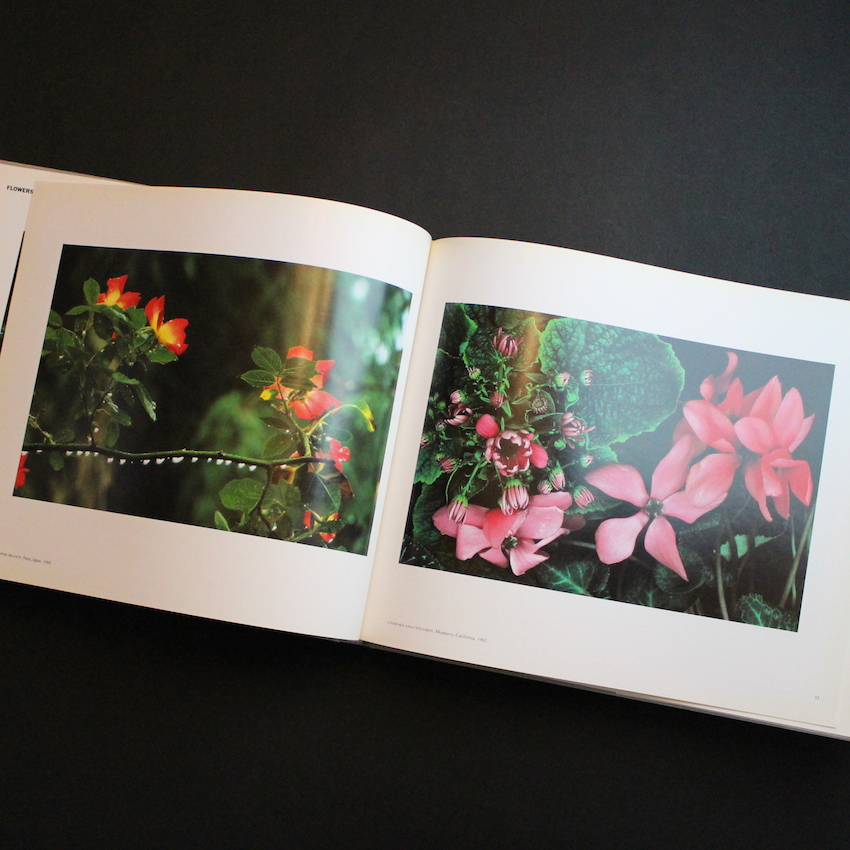 Color Photography（Acceptable） - Ernst Haas