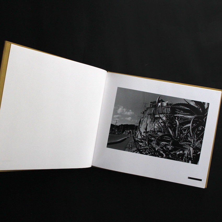 背高あわだち草 / Seitaka-awadachiso（First Edition） - 尾仲 浩二