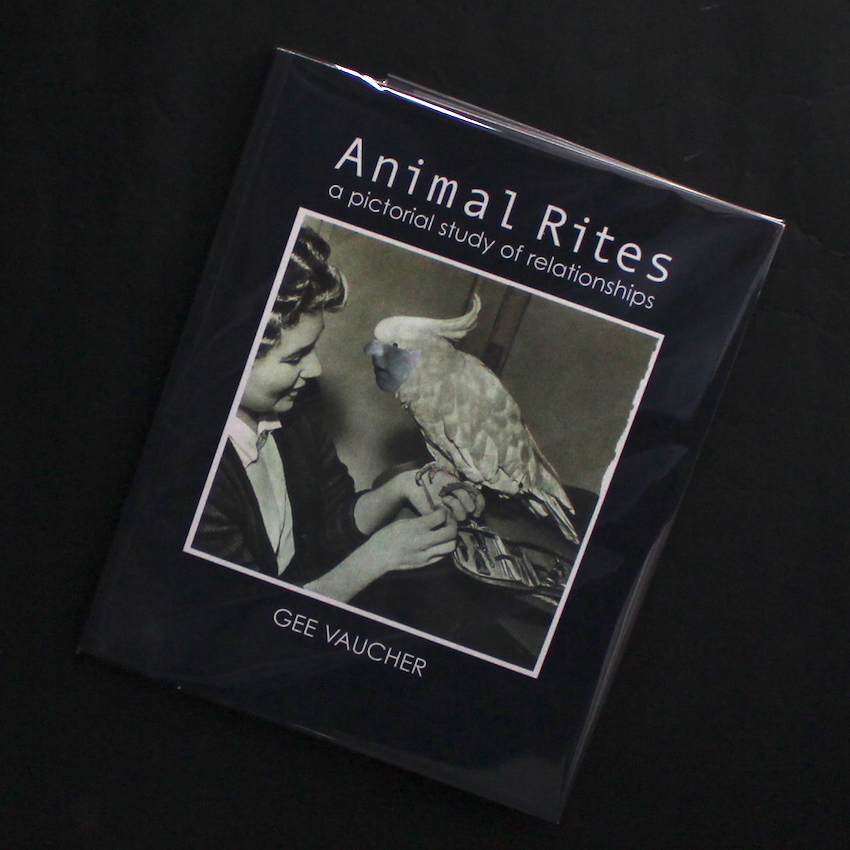 Animal Rites a pictorial study of relationships（Signed） - Gee