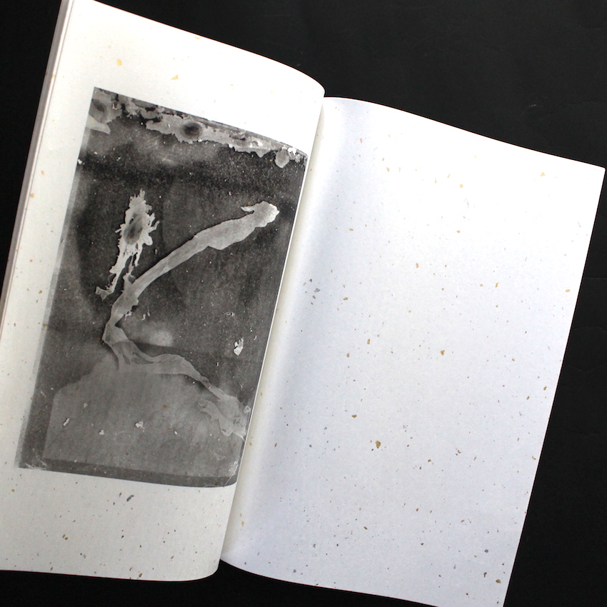 8K / Matter Print House Session 2019 - 横田 大輔 / Daisuke Yokota