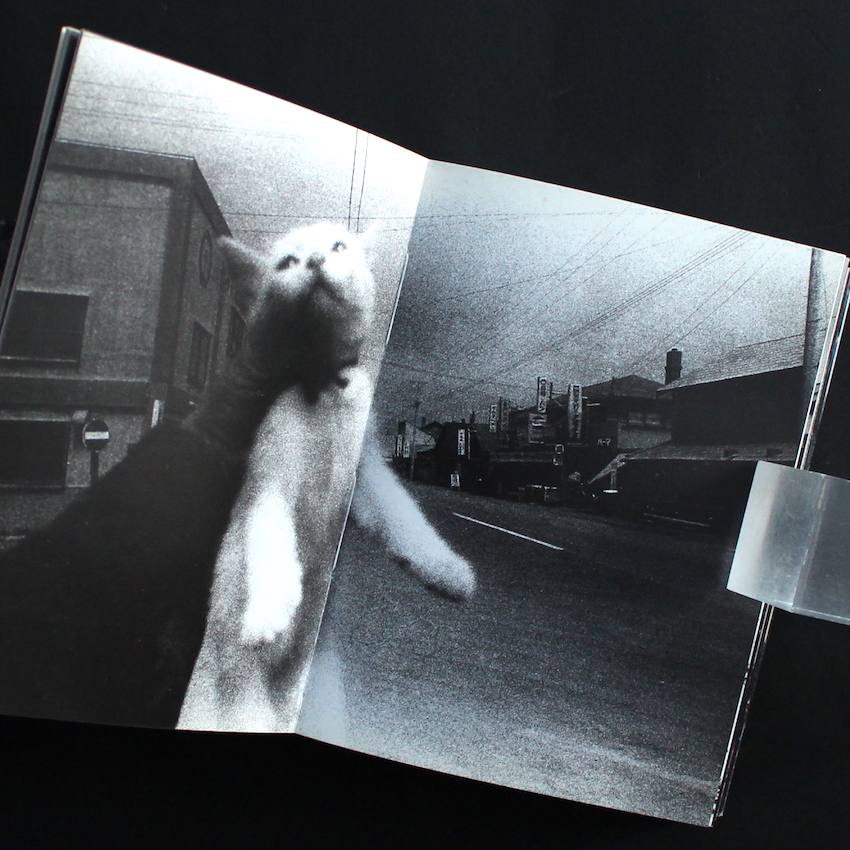 Northen（Six） - 森山 大道 / Daido Moriyama