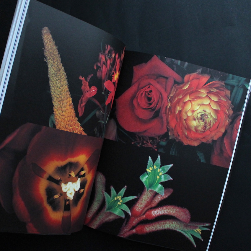 花人生 / Hana-Jinsei - 荒木 経惟 / Nobuyoshi Araki