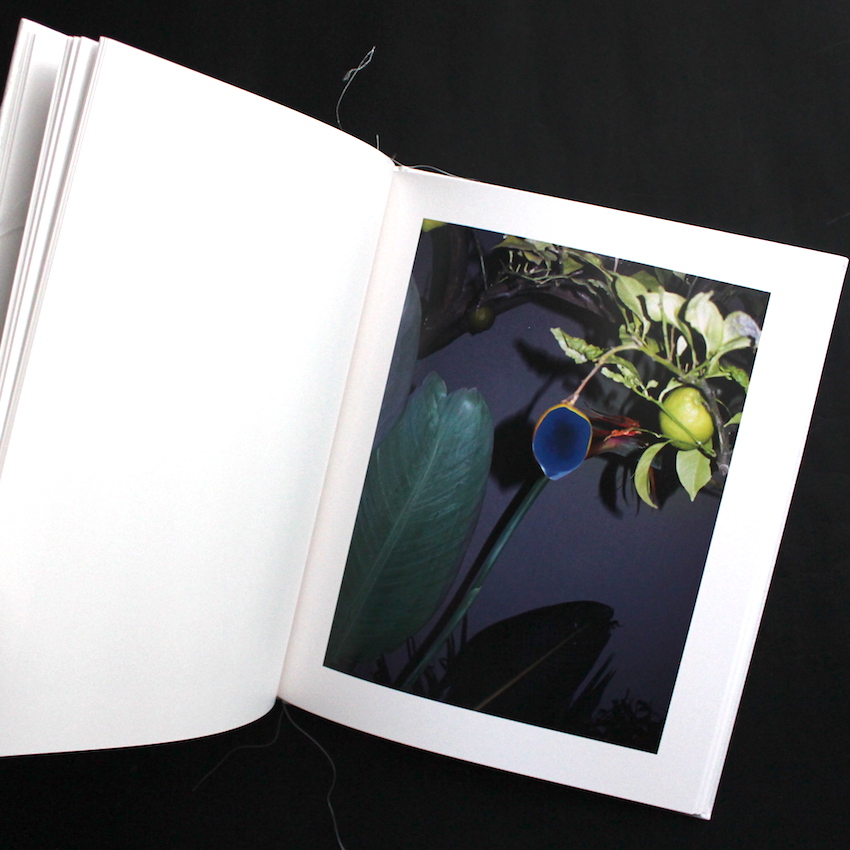 Of Mud and Lotus - Viviane Sassen