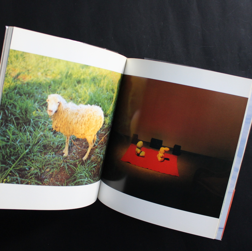 ベイビイランド / Babyland（With OBI） - ホンマ タカシ / Takashi Homma