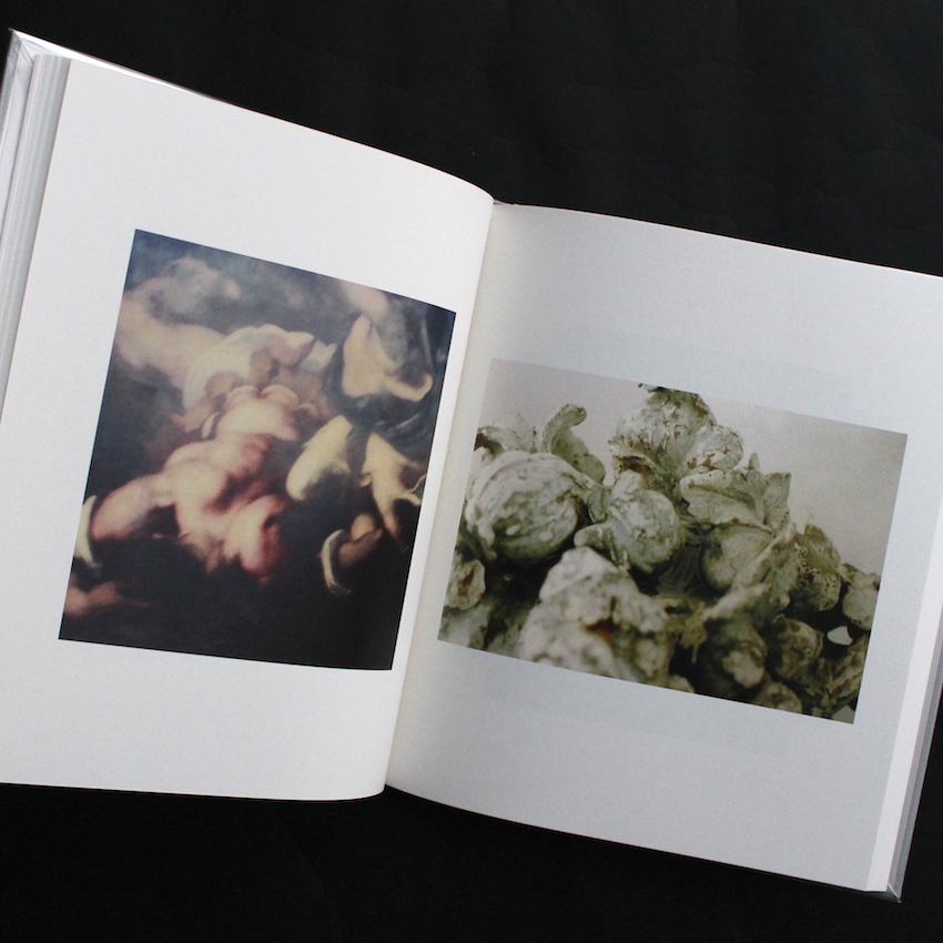 Cy Twombly Photographs Lyrical Variations（Unopened） - Cy Twombly