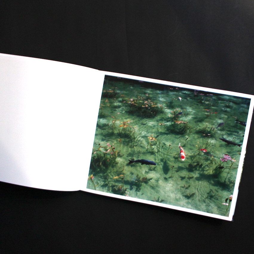 Water Mirror - 鈴木 理策 / Risaku Suzuki