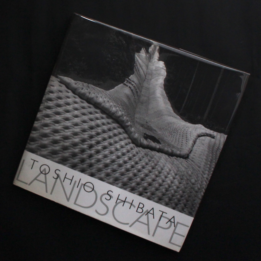 Landscape（Signed） - 柴田 敏雄 / Toshio Shibata