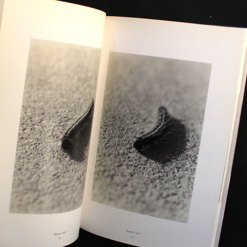 Wolfgang Tillmans / Wako Book 4 - Wolfgang Tillmans