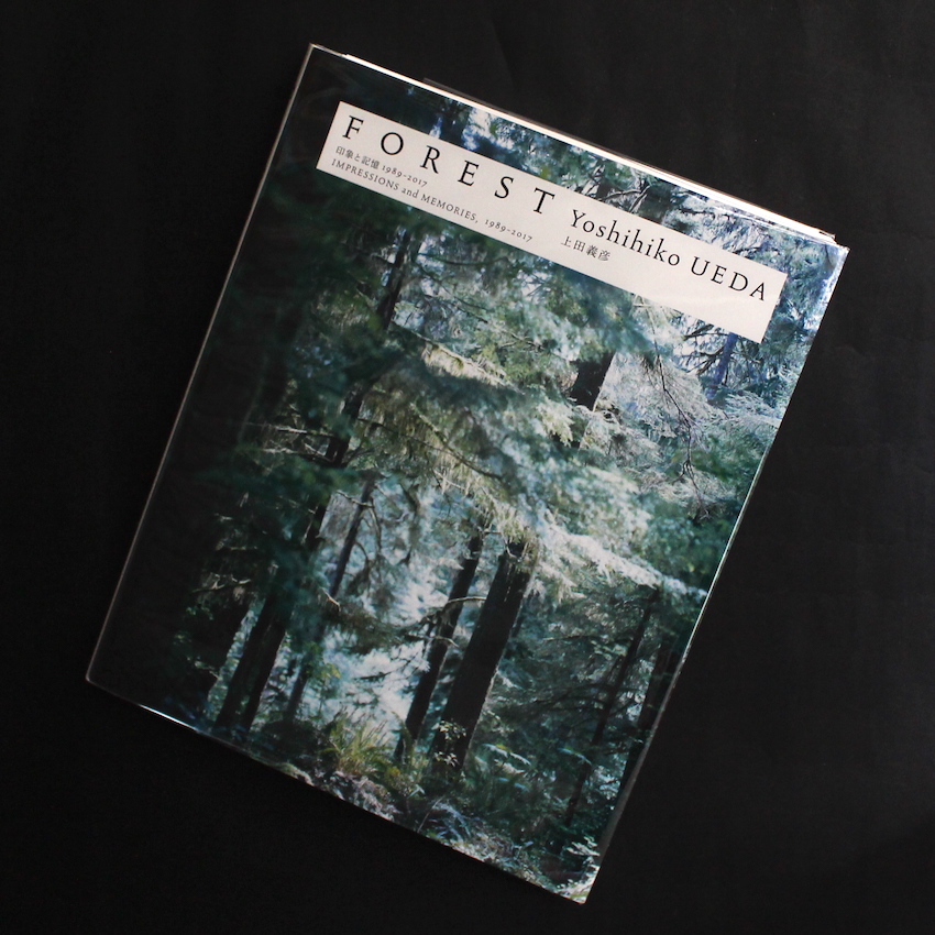 Forest（Signed） - 上田 義彦 / Yoshihiko Ueda