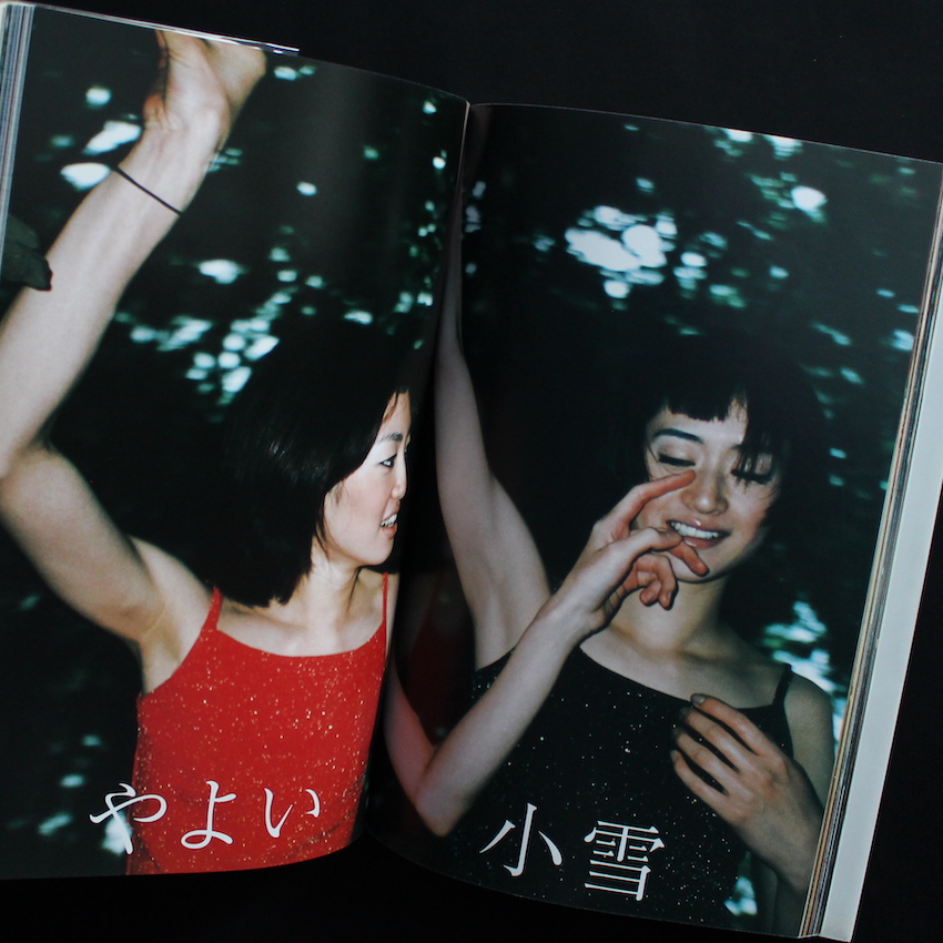 Japanese Beauty（With Leaflet） - ヒロミックス / Hiromix