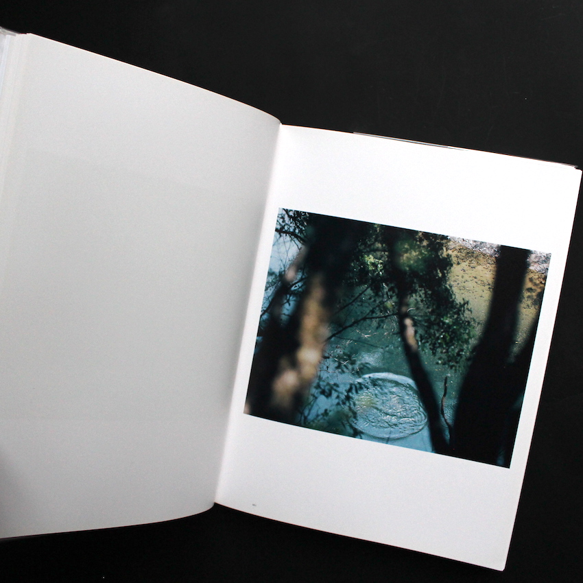 意識の流れ / Stream of Consciousness（White Cover） - 鈴木 理策