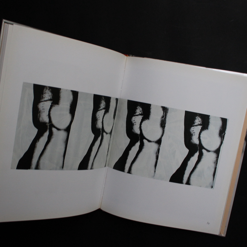Nudes - Andy Warhol