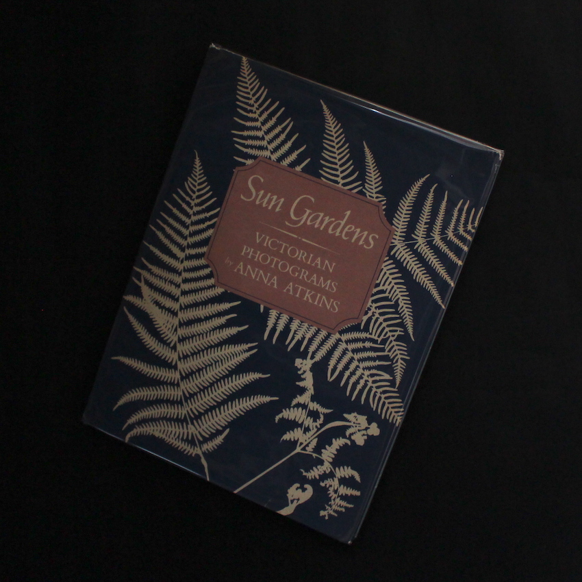 Jochen Lempert Field Guide - Jochen Lempert