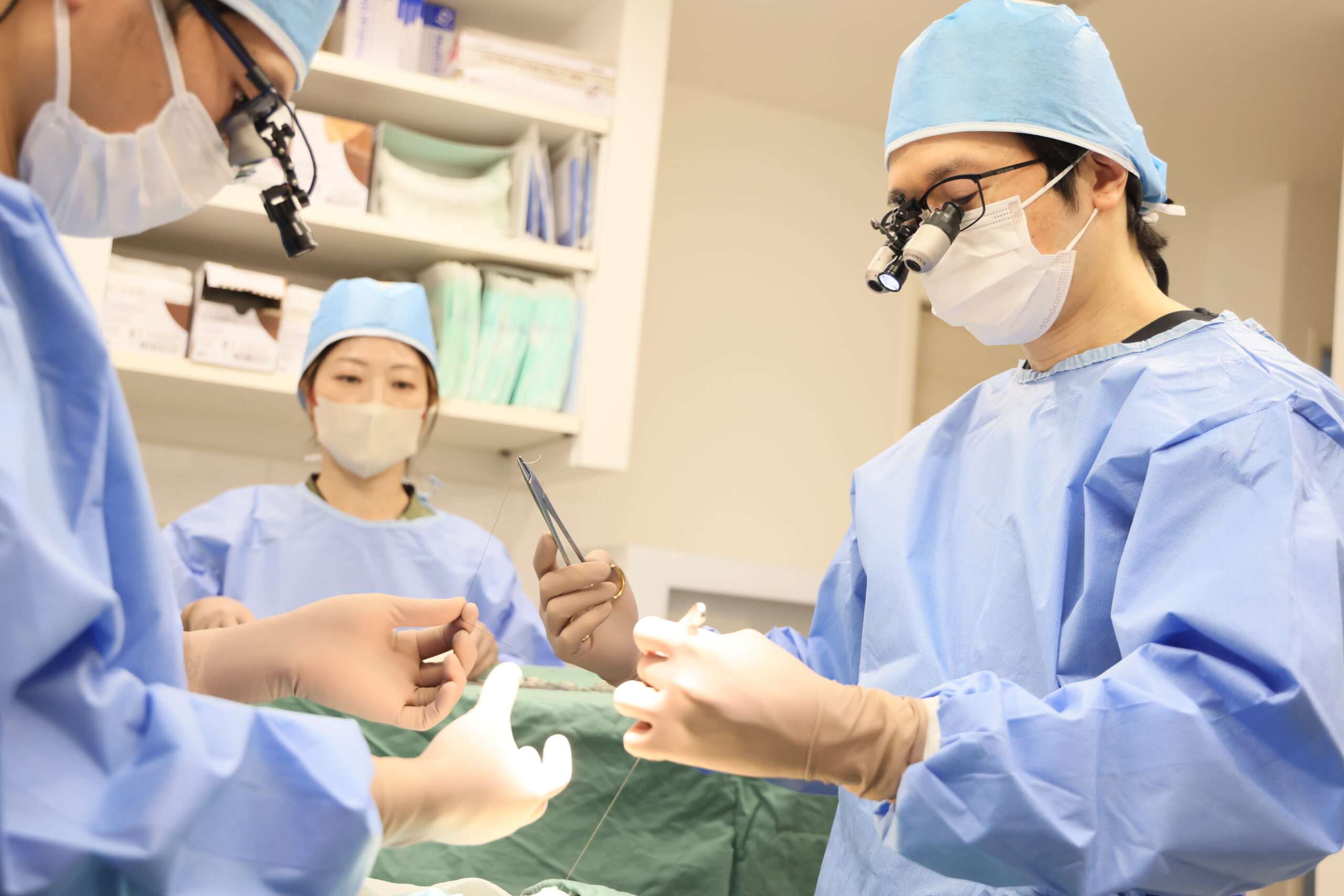 手術実績｜犬と猫の外科手術なら実績豊富なマエカワ動物病院／滋賀動物