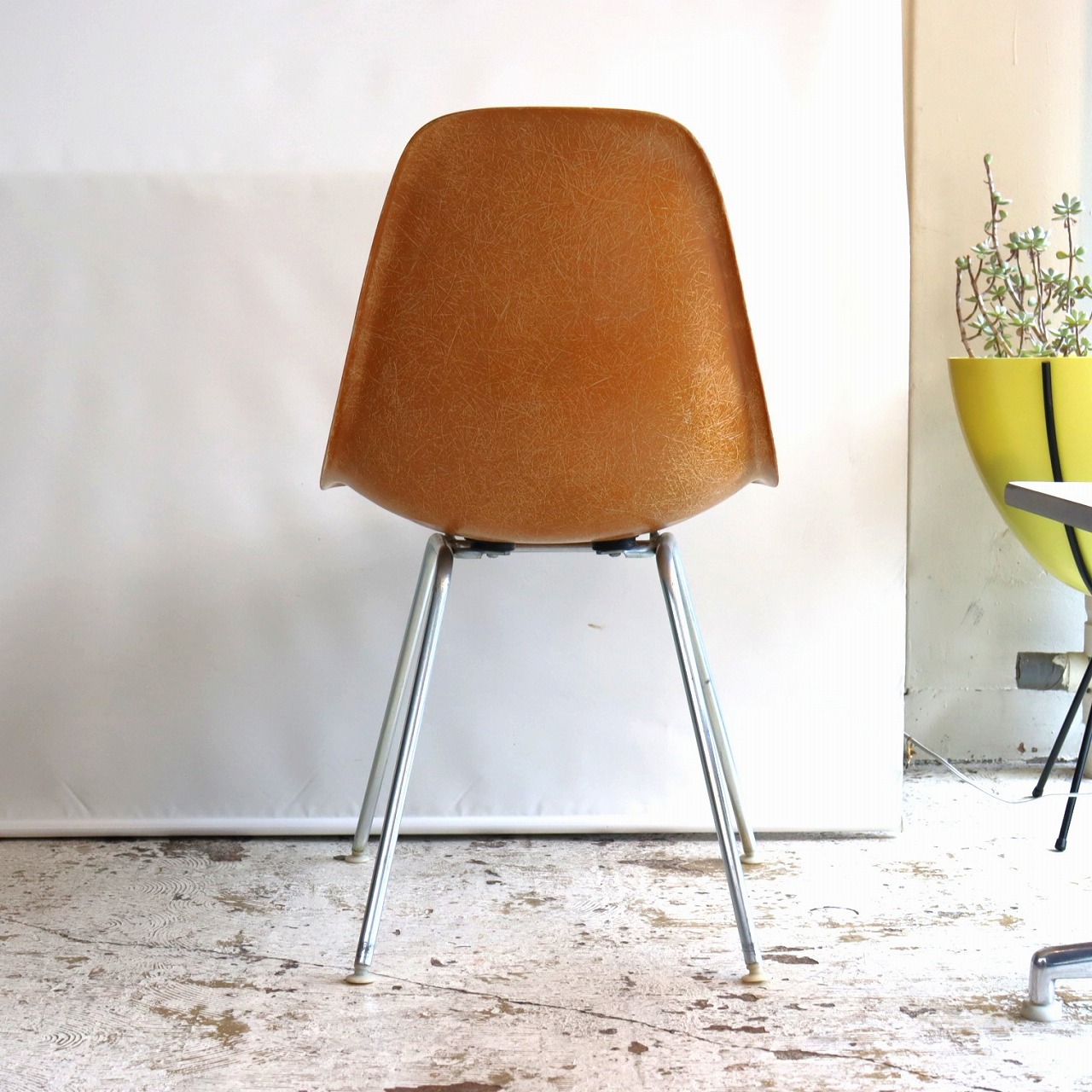 3_000000006170.jpg?1762327777