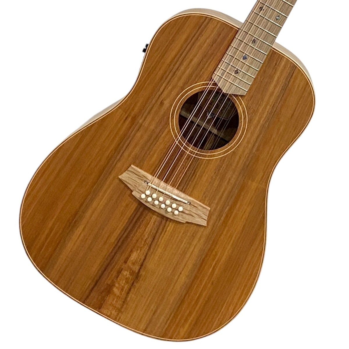 Cole Clark / FL Dreadnought Series CCFL2E-12-BLBL 2 Grade All