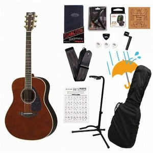 YAMAHA / LL6 ARE Dark Tint (DT) 【専用ケースつき