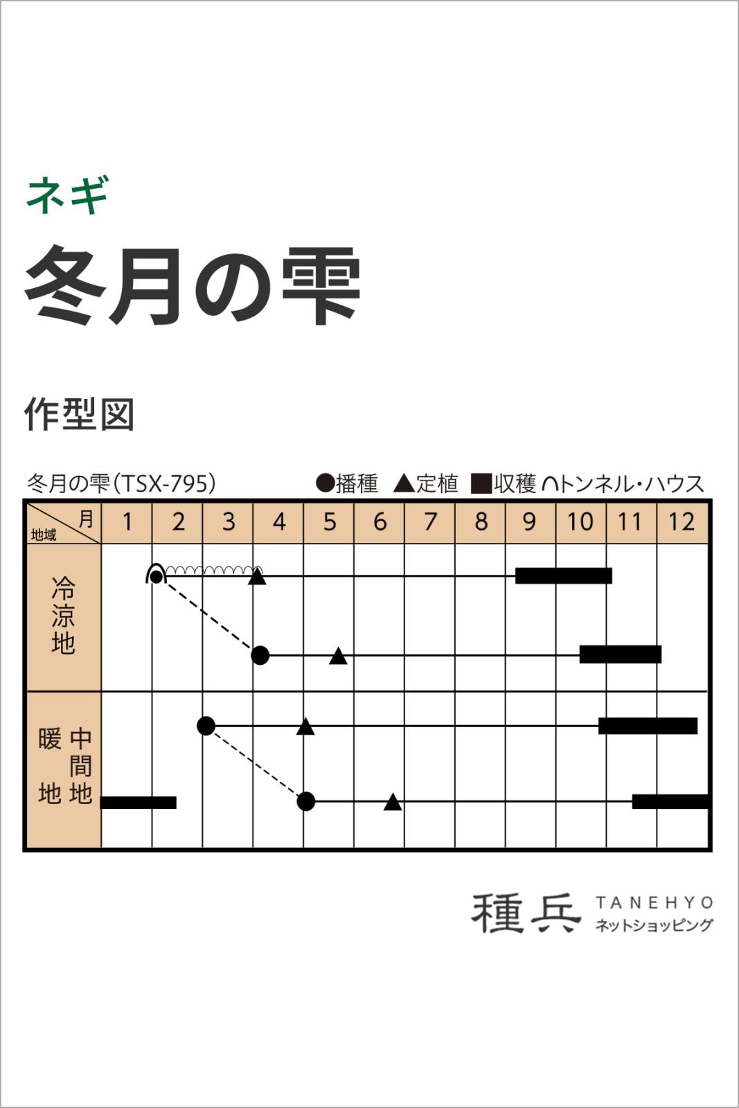 根深ネギ 種 『冬月の雫』 トキタ種苗 | たね,葉菜の種,ネギ,根深・白