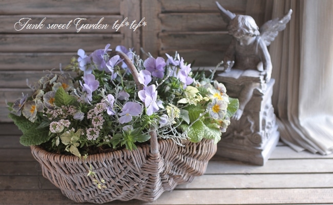 オーバルバスケットのパステルカラー寄せ植え オーバルバスケットのパステルカラー寄せ植え - メルカリ