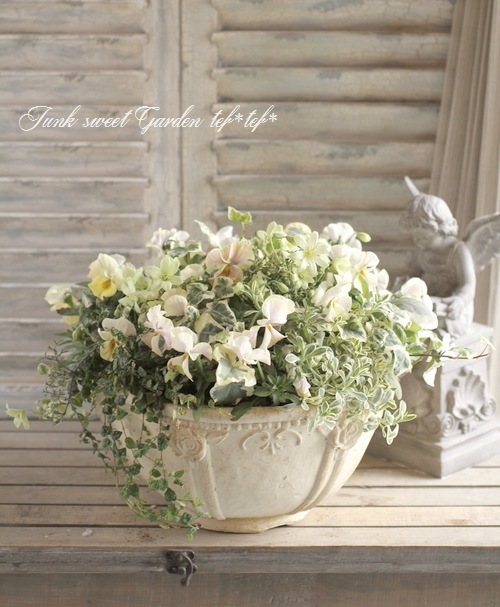 花 tef*tef*寄せ植え<BR>2016 * no.34 *<BR><BR>『クレマチス×エボルベ