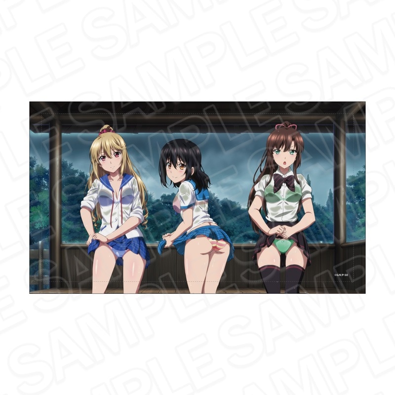 予約受付2/20まで】ストライク・ザ・ブラッドFINAL メモリアルアート