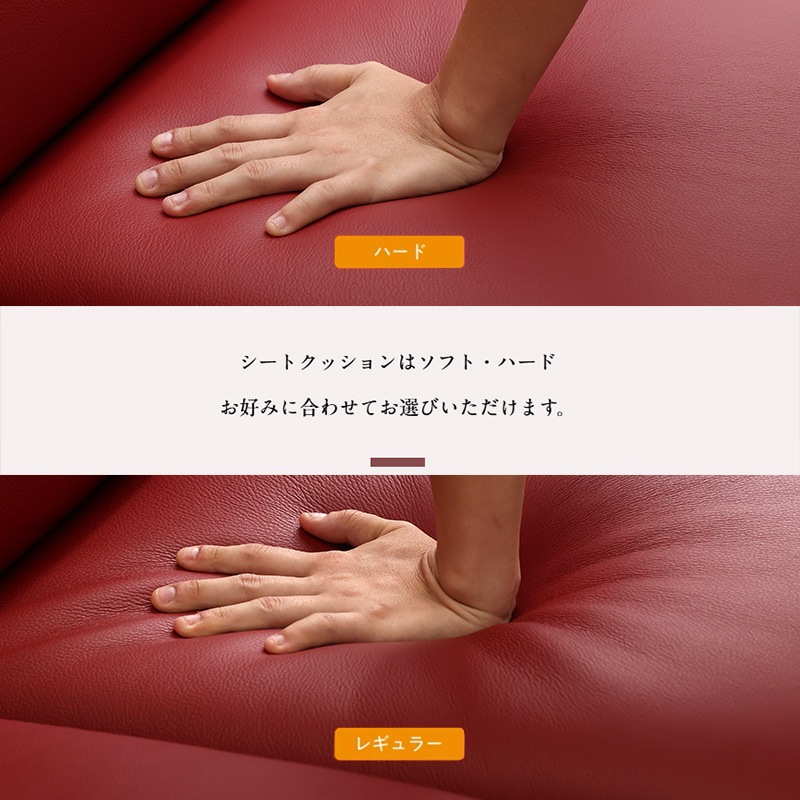 2.5人掛ソファ ZETA neo ハイタイプ(SH420mm) Z175Model 張地ストラダ