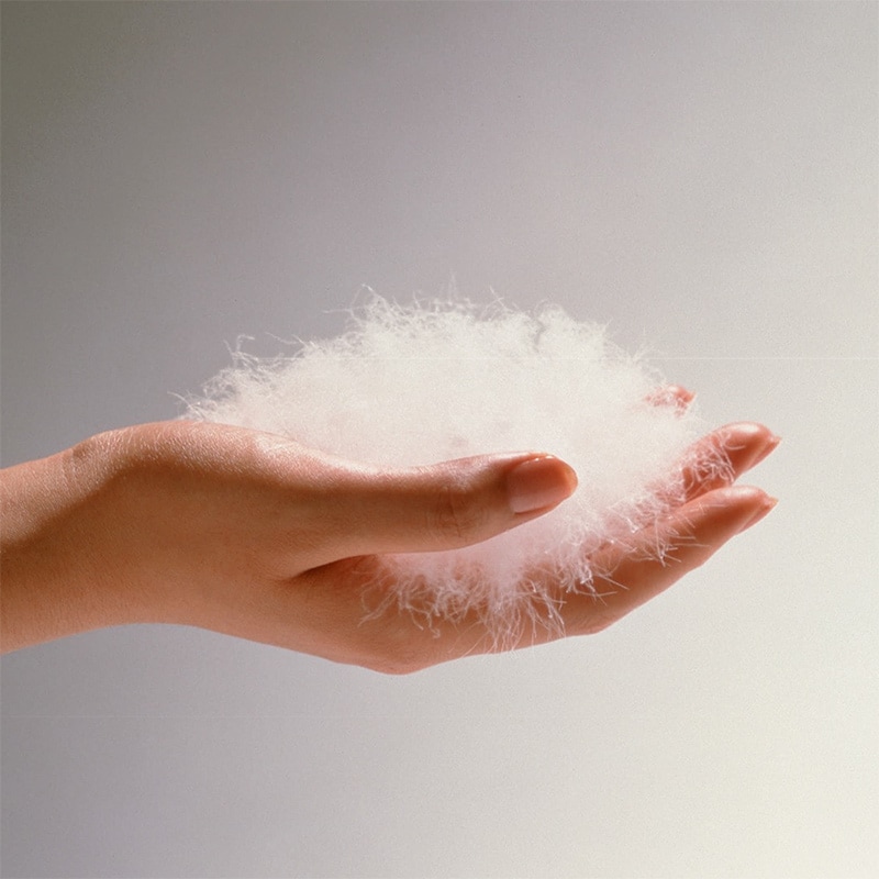 羽毛布団 IF WGDホワイトグース90% 2枚合わせ ※4サイズ有の通販｜東京