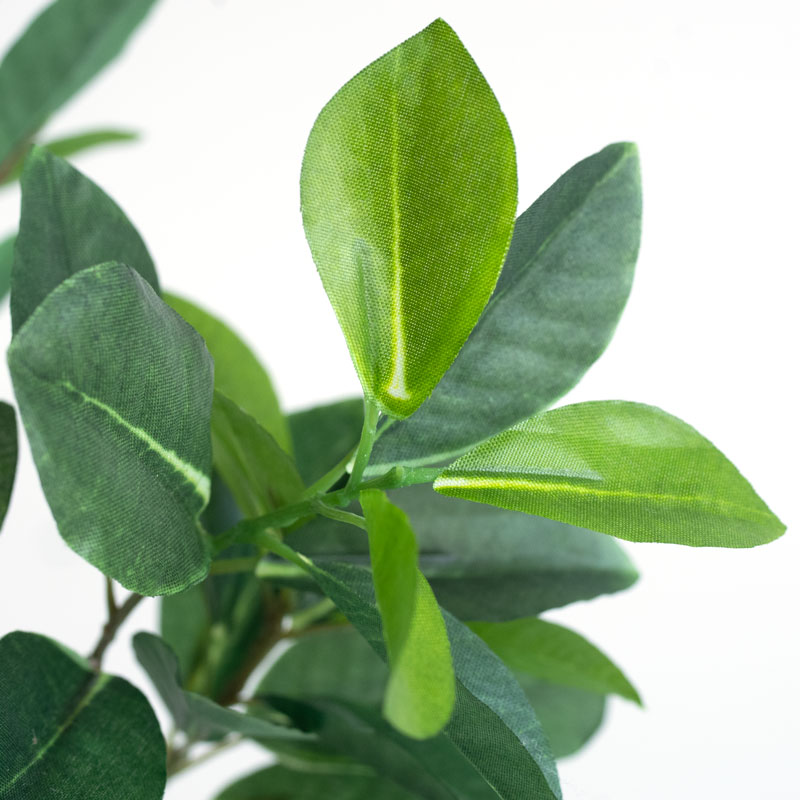 インテリアグリーン ガジュマル F370-PU513B/47L if homeの通販｜東京