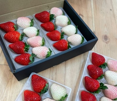 鈴木ファームのミルキーベリー デラックス（2パック入り） | とちぎの